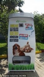 ظروف یکبار مصرف