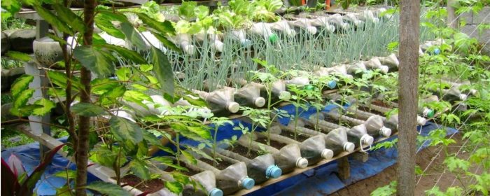 ظروف یکبار مصرف